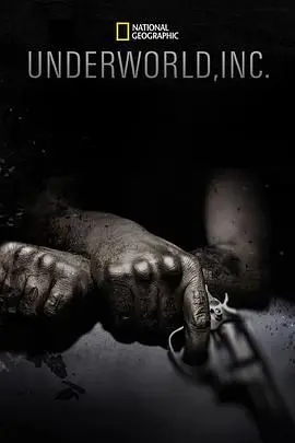 《黑市大企业第一季》：揭露隐藏在暗处的商业帝国，硝烟弥漫的战场，权谋与利益的残酷博弈